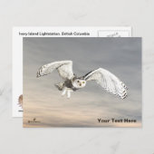 Snowy Owl Briefkaart (Voorkant / Achterkant)