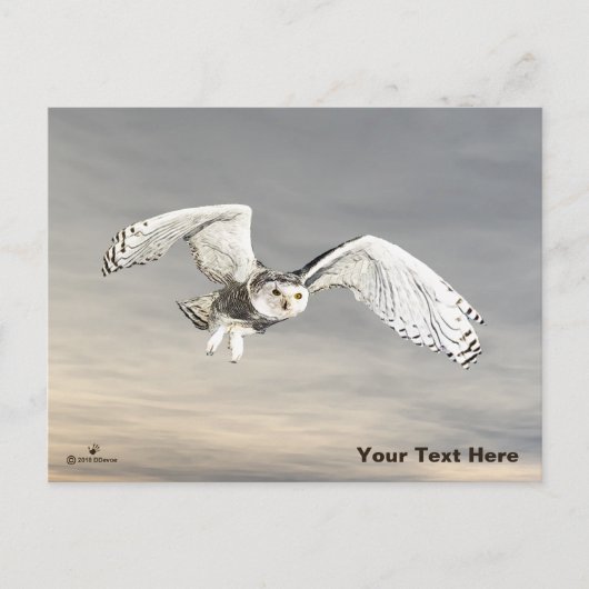 Snowy Owl Briefkaart (Voorkant)