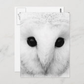Snowy Owl Briefkaart (Voorkant / Achterkant)