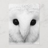 Snowy Owl Briefkaart (Voorkant)