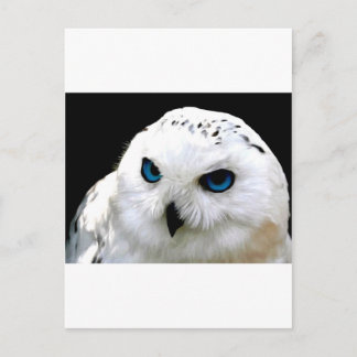 Snowy Owl Briefkaart