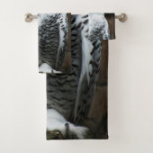 Snowy Owl btcna (En situation)