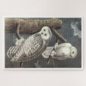 Snowy Owl by Audubon Legpuzzel (Horizontaal)