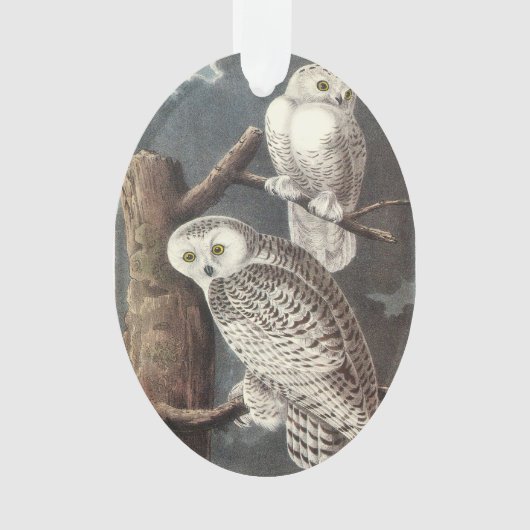 Snowy Owl by Audubon Ornament (voorkant)