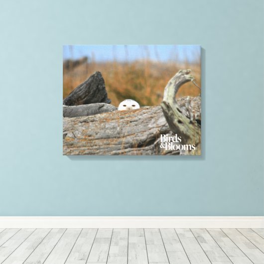 Snowy Owl Canvas Afdruk (Insitu (Houten vloer))