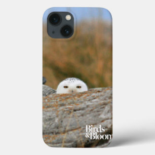 Snowy Owl iPhone 13 Hoesje