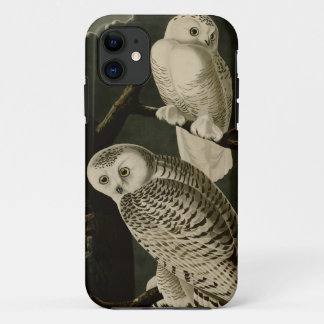 Snowy Owl iPhone 11 Hoesje