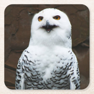 Snowy Owl coastercn Vierkante Kartonnen Onderzetter