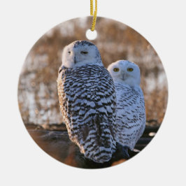 Snowy Owl Couple Keramisch Ornament