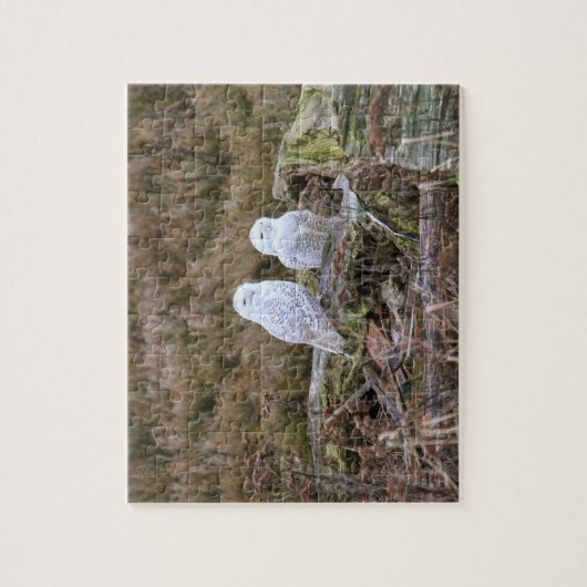 Snowy Owl Couple Legpuzzel (Verticaal)