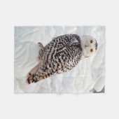 Snowy Owl couverture (Devant (Horizontal))