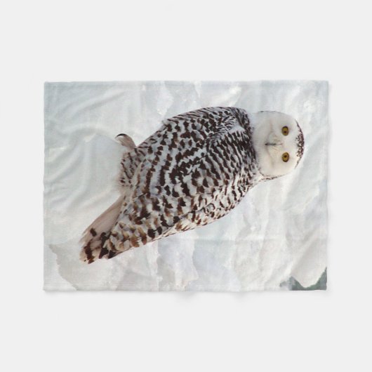 Snowy Owl couverture (Devant (Horizontal))