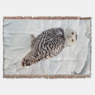 Snowy Owl couverture tissée