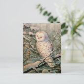 SNOWY OWL door SHARON SHARPE Briefkaart (Staand voorkant)