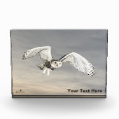 Snowy Owl Fotoblokken (Voorkant)