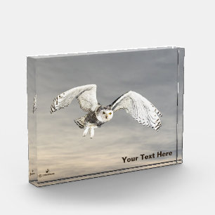 Snowy Owl Fotoblokken