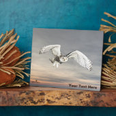 Snowy Owl Fotoplaat (Zijkant)