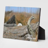 Snowy Owl Fotoplaat (Zijkant)