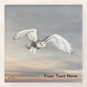 Snowy Owl Glazen Onderzetter (Voorkant)
