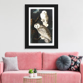 Snowy Owl illustratie door Audubon Canvas Afdruk (Insitu (Woonkamer))