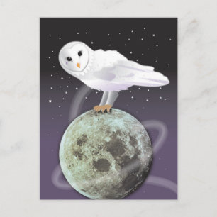Snowy owl in het moonlicht briefkaart