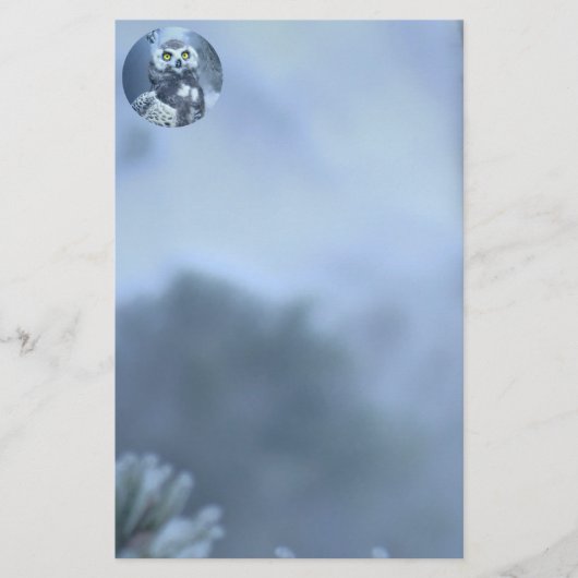 Snowy Owl in Winter Briefpapier (Voorkant)