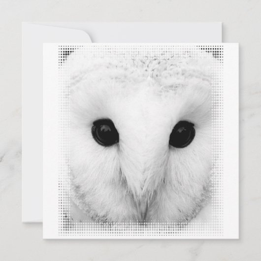 Snowy Owl Invitation Kaart (Voorkant)