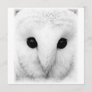 Snowy Owl Invitation Kaart