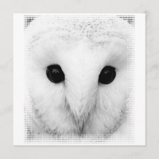 Snowy Owl Invitation Kaart