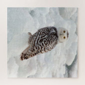 Snowy Owl jigzaagpuzzel Legpuzzel (Horizontaal)