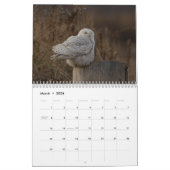 Snowy Owl Kalender 2026 (Mar 2026)