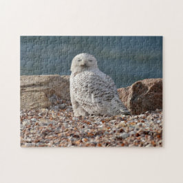 Snowy Owl Legpuzzel