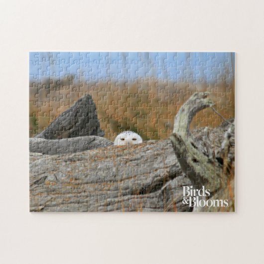 Snowy Owl Legpuzzel (Horizontaal)