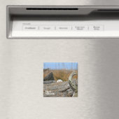 Snowy Owl Magneet (Insitu (Vaatwasser))