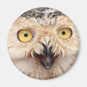 Snowy Owl Magneet