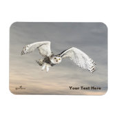 Snowy Owl Magneet (Horizontaal)