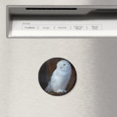 Snowy Owl Magneet (Insitu (Vaatwasser))