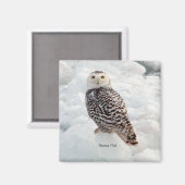 Snowy Owl magnet Magneet (Voorkant / Achterkant)