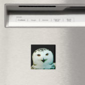 Snowy Owl Magnet Magneet (Insitu (Vaatwasser))