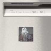 Snowy Owl magnet Magneet (Insitu (Vaatwasser))