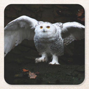 Snowy Owl met open klooster van Wings Vierkante Kartonnen Onderzetter