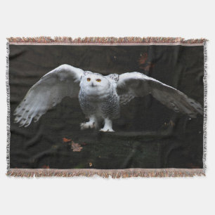 Snowy Owl met open Wings tbcn Deken