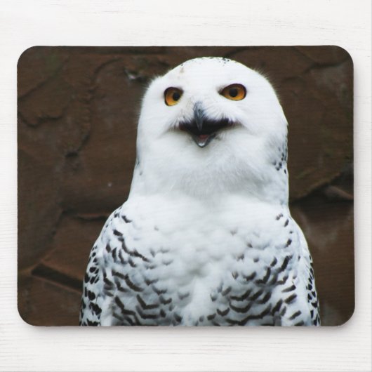 Snowy Owl mpcn Muismat (Voorkant)