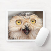 Snowy Owl Muismat (Met muis)