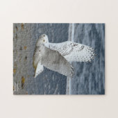 Snowy Owl on a beach  Legpuzzel (Horizontaal)