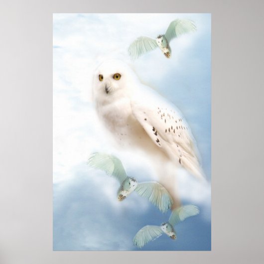 Snowy Owl op canvas Poster (Voorkant)