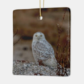 Snowy owl op een rots keramisch ornament (Links)