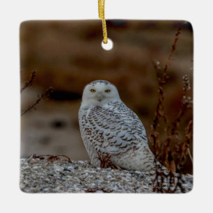 Snowy owl op een rots keramisch ornament