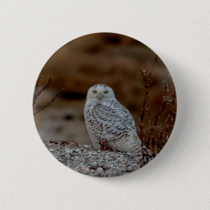 Snowy owl op een rots ronde button 5,7 cm