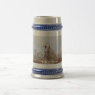 Snowy owl op het strand bierpul